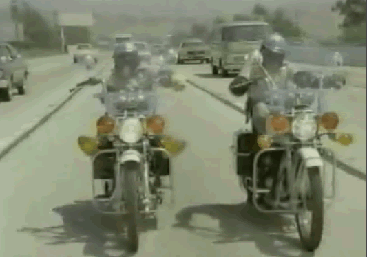 File:Chimps.gif