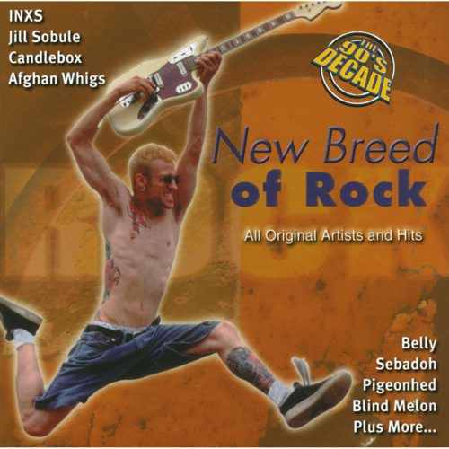 File:The 90's Decade - New Breed of Rock.jpg