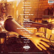 Vinyl back artwork