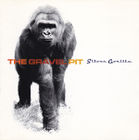 Silver Gorilla album cover